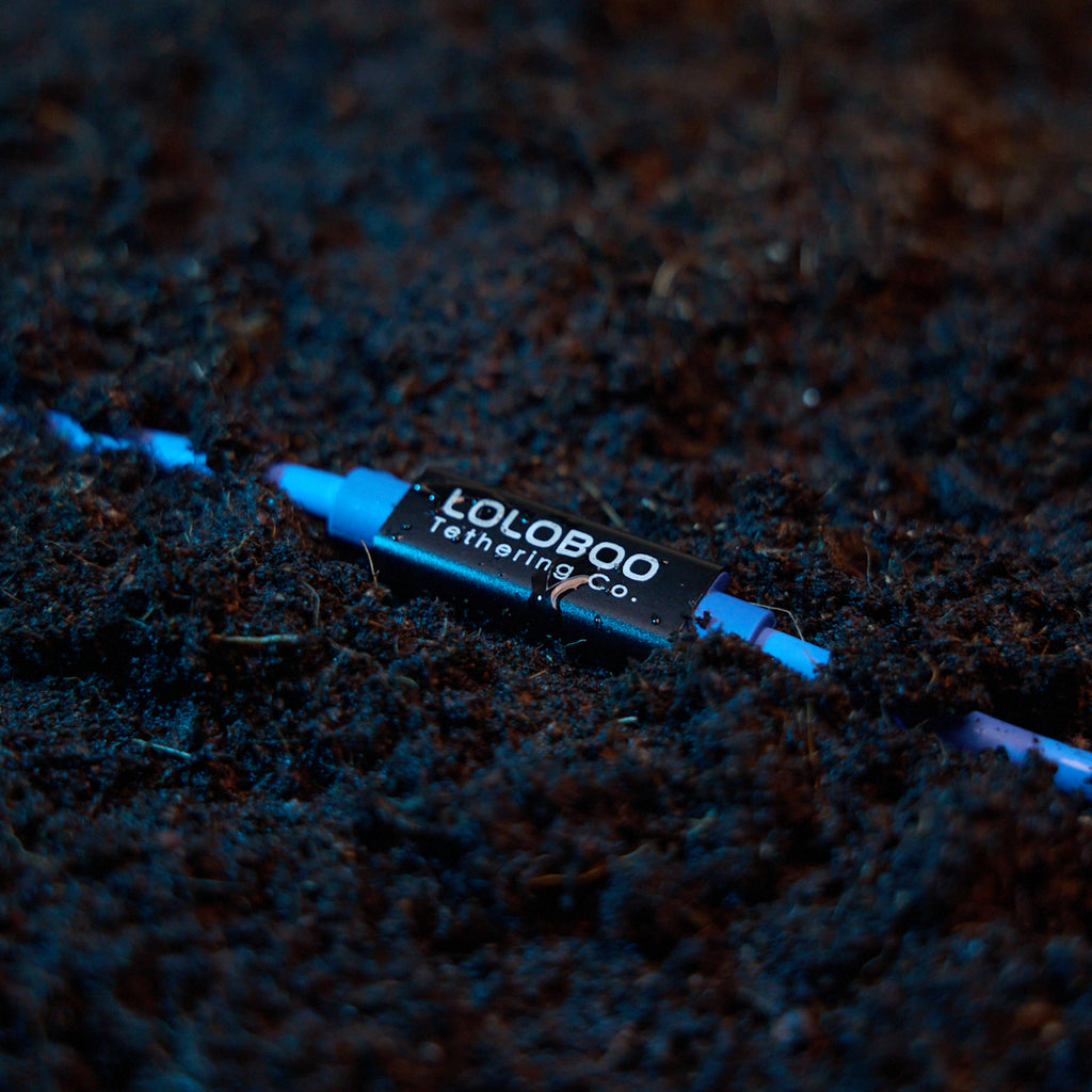 Loloboo Tethering Cable – 5m, 10Gbps