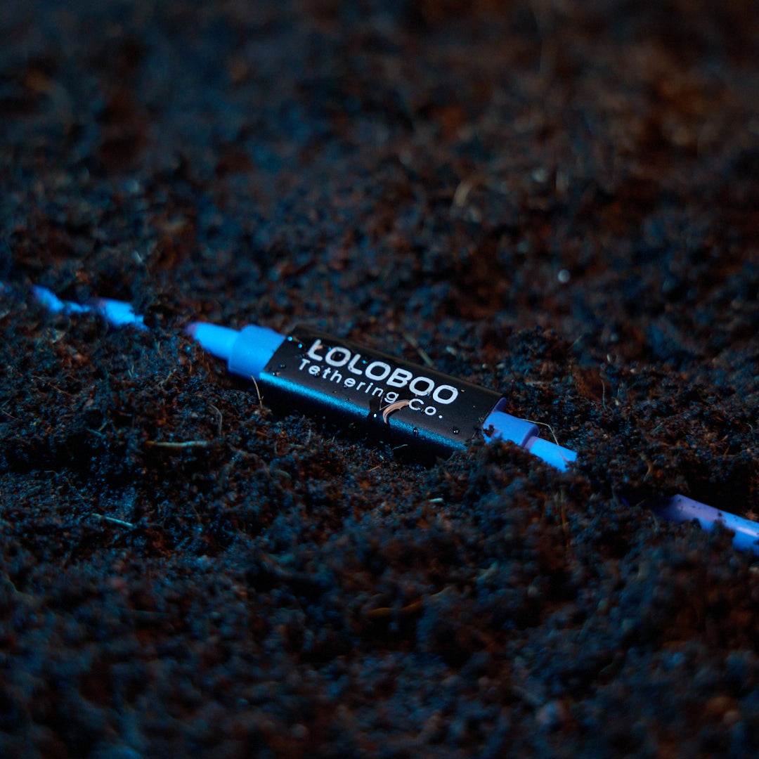 Loloboo Tethering Cable – 5m, 10Gbps