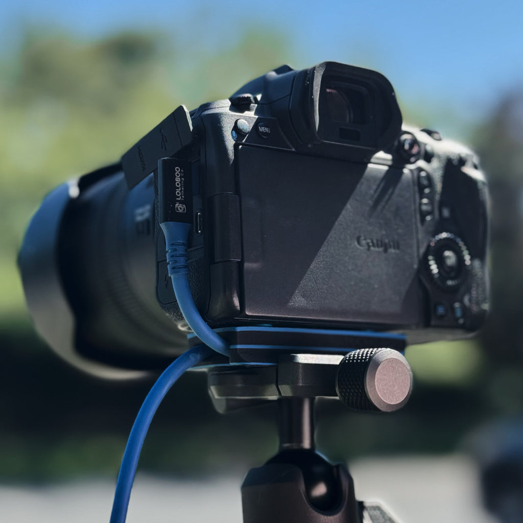Loloboo Tethering Block – 3D Print Edition - Loloboo Tethering Co
